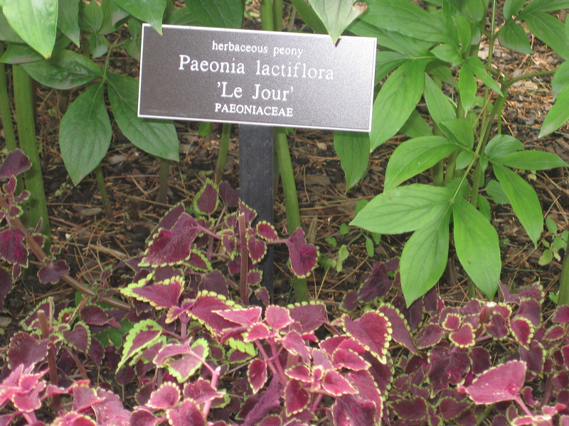 090827-112501-00.jpg