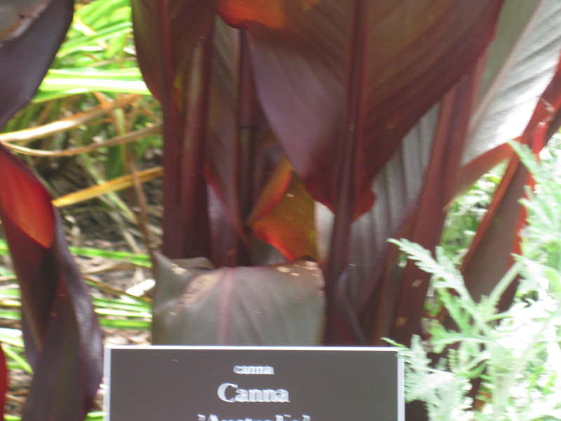 090827-113322-00.jpg