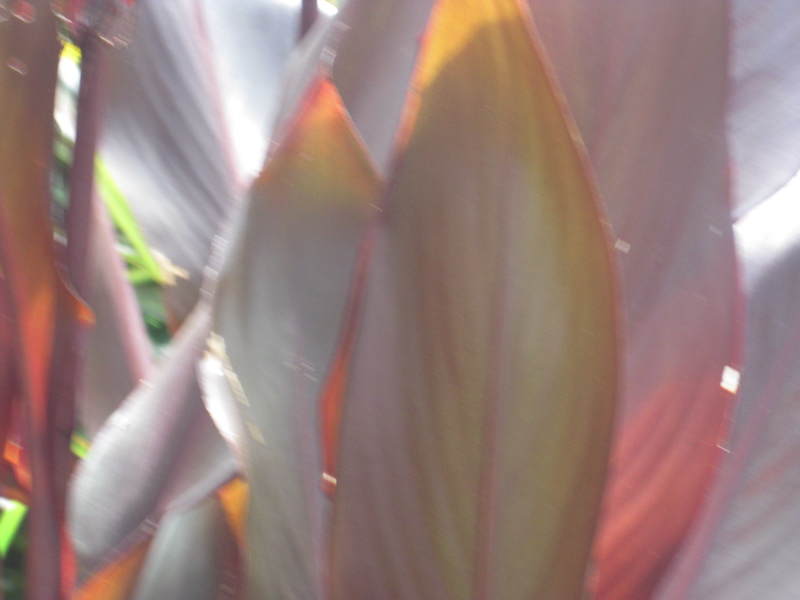 090827-113327-00.jpg