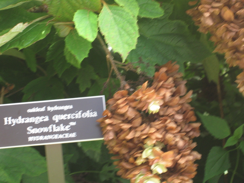 090827-113340-00.jpg